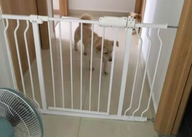 Lắp đặt cửa chắn an toàn cầu thang cho trẻ em tại TP.HCM