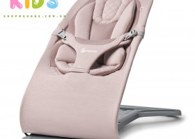 Ergobaby Evolve Bouncer
