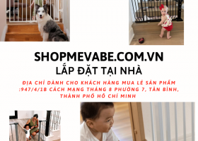 Tại sao bố mẹ nên lắp đặt cửa chắn an toàn cầu thang?