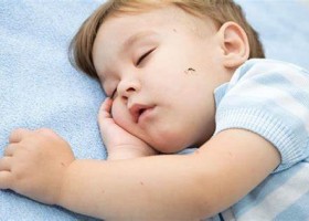 Tại sao trẻ em đặc biệt thu hút muỗi 
